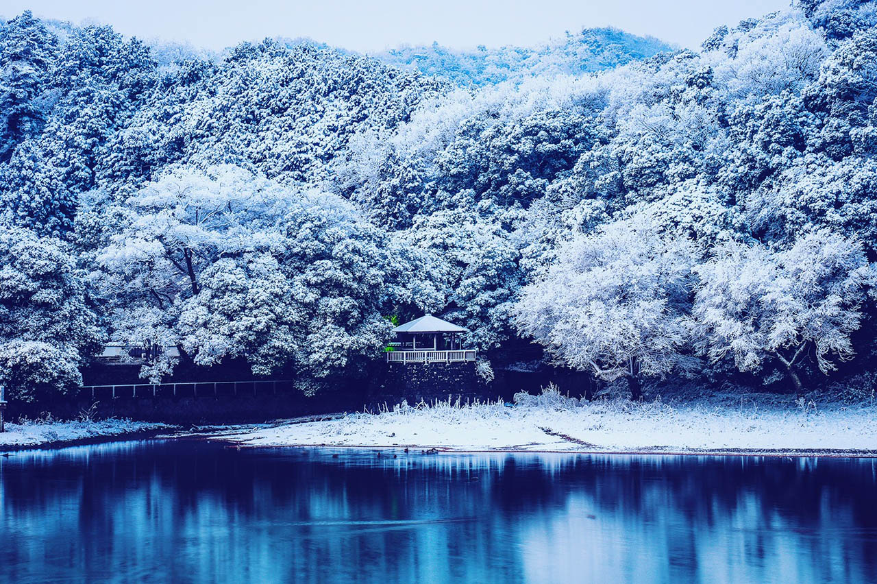 Haiku日本19冬の写真俳句大賞発表 特定非営利活動法人 Haiku日本